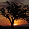 Buschveldt sun set Groblersdal