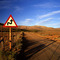 Karoo road