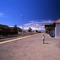 Robin on Graaff-Reinet station