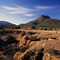 Camdeboo donga - Camdeboo National Park