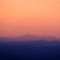 Cockscomb dawn