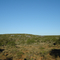 Kwandwe Private Game Reserve, River Lodge and Elephants, Eastern Cape, South Africa