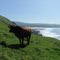 Transkei - Mbotyi