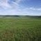 Umvoti Vlei (IBA SA0690) from D58 Jan-11