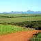 Farm Lands near Humansdorp