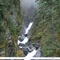 Creek that feeds salmon hatchery