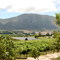Farm in the Hemel & Aarde Valley