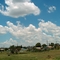 Rural Housing - Heilbron