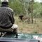 South Africa expedition 2 - Kruger Park