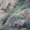 Broken topography in valley  from Phongola River