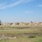 View on the coloured houses of Dutywa