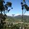 Jounertina from the mountain