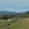 Langkloof from Joubertina