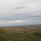 Karoo Landscape - Blaauwbosch