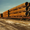 TAPS Pipe for Pine line -Fairbanks, AK  1970©caviews.com