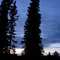 Midnight in Fairbanks, Mid August