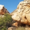 Felsen mit Felszeichnungen der 'San' (Buschmänner) im Private Game Reserve "Kagga Kamma"