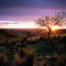 Mdumbi Sunset