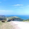 typical Transkei scenery