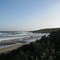 The Beach at Beechham Wood