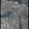IR Treetops