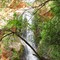 Waterfall (Private property)