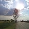 The Sun coming out