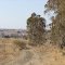 Near Bloemhoek Dam