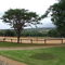 Horse riding school from the homestead