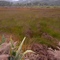 Pretty Colours, near Kawakawa, New Zealand