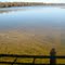 Alligator holes in Tennessee River