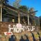 horns up bush pub