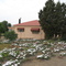 Loeriesfontein - Daisies Everywhere