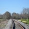 NS N-Line