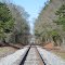 NS N-Line