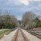 NS N-Line