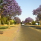 Street