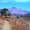 Cathkin Peak start of Sterkspruit Waterfall Walking Trail