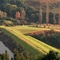 Autumn Colors - Drakensburg Sun Resort
