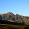 Summer morning