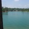 View from the hammock