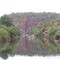 Botshabelo