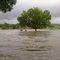 Klein Olifants river in flood. Middelburg, Mpumalanga