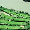 Douglas Golf Club