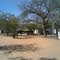 Bush Camp