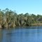 Styx River - Alabama
