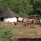 Limpopo Province, peaceful rural live