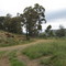 ROAD TO THE TOWN DAM, MOLTENO, NORTH EASTERN CAPE, SOUTH AFRICA