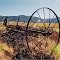 Photo taken in Malmesbury, South Africa