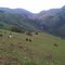 Near Swaziland